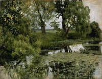 Overgrown Pond