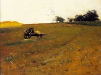 Field of Wheat