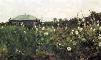 Hollyhocks in the Saratov Region
