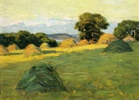 The Hill Field