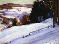 Snow Scene