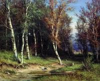 Forest before Thunderstorm
