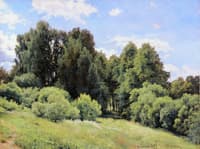 A Forest Glade