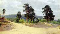 The Forest Edge