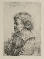 Portrait of a Boy, Half-Length