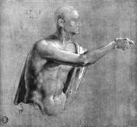 Male Nude, Half-length