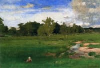 Meadowland in June