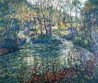 Connecticut Trout Stream