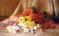 Chrysanthemums