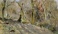 Forest in Autumn