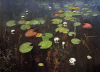 Water Lilies