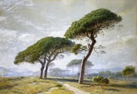 View of Cannes with Parasol Pines