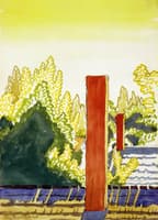 Sunlight and Shadow in Prospect Park