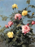 Pink and Yellow Roses