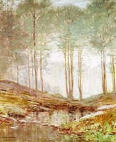 Misty Trees