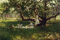The Old Apple Tree