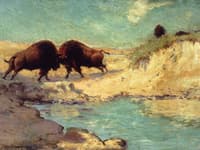Buffalo Hunt # 10