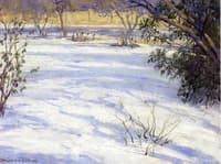 Snow Scene