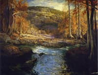 Forest Stream