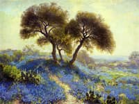 A Spring Morning, Bluebonnets, San Antonio