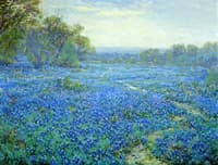 Bluebonnet Scene