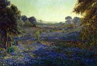 Bluebonnets at Late Afternoon, near La Grange, Texas