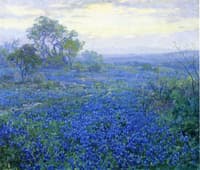 A Cloudy Day, Bluebonnets near San Antonio, Texas