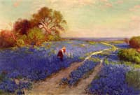 Bluebonnet Scene with a Girl