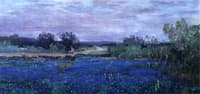 Blue Bonnets at Twilight