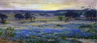 Bluebonnets at Dusk