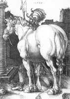 Large Horse