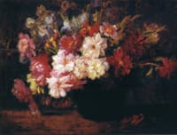 Peonies and Irises