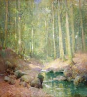 Through the Woods