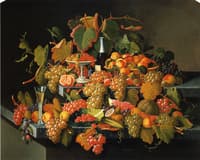 Nature's Bounty