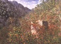 Olive Trees and Palm Trees in the Valley