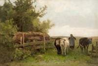 A Woman Driving Cattle