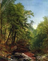 Woodland Interior