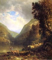 Deer in the Adirondacks