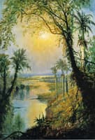 Cuban Landscape