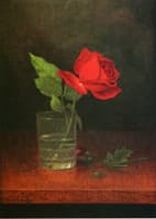 A Single Rose in a Glass