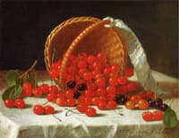 Cherries Spilling from a Basket