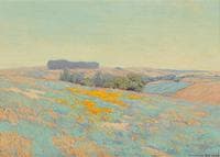 Poppies and Lupine
