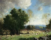 Sunny Pastures
