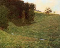 Creek by the Woods in Summer