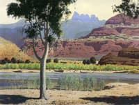 Bank of the Colorado River