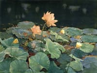 The Lotus