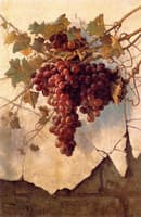 Grapes against a Mission Wall