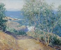 Indian Tobacco Trees, La Jolla
