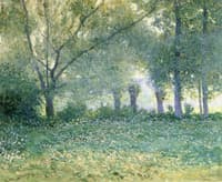 Morning Mist