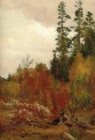 Study near Schulls